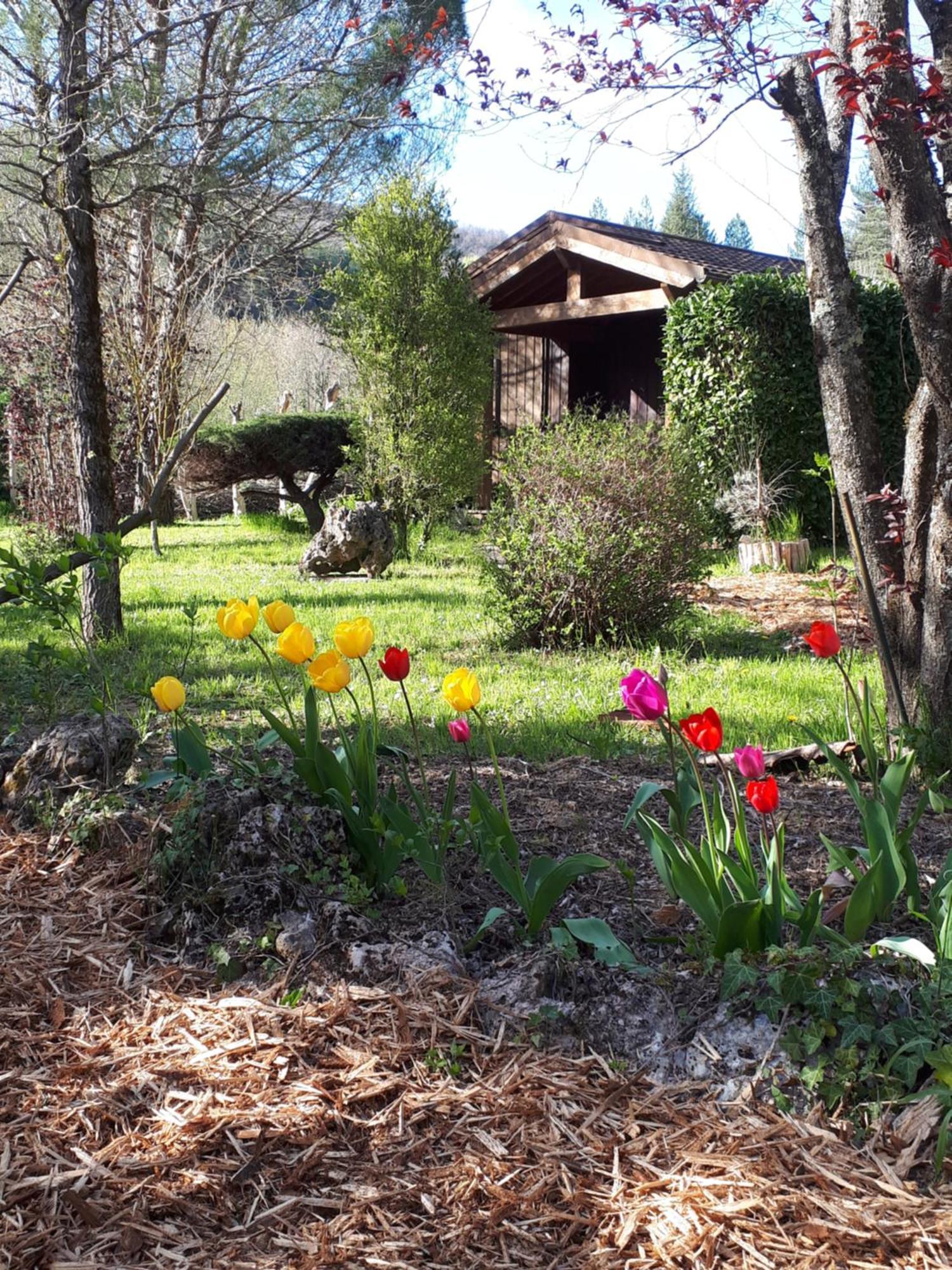 Les Chalets Du Roc Alzon Luaran gambar